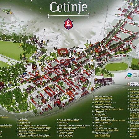 Downtown Apartment Cetinje Bagian luar foto