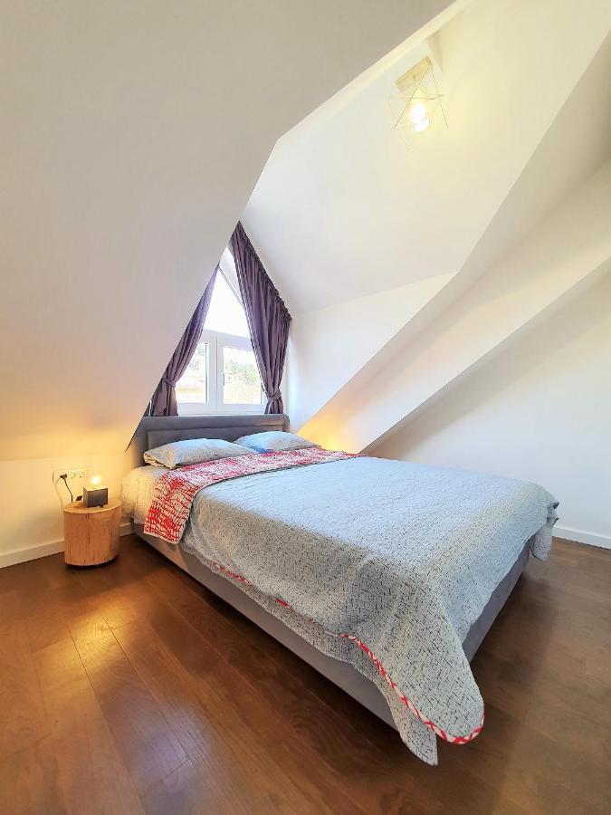 Downtown Apartment Cetinje Bagian luar foto
