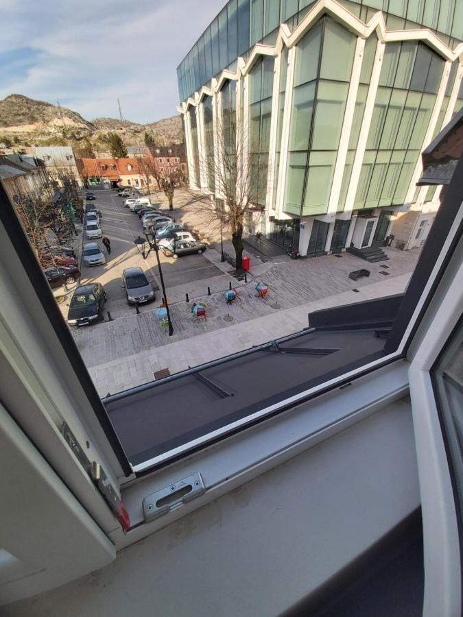 Downtown Apartment Cetinje Bagian luar foto