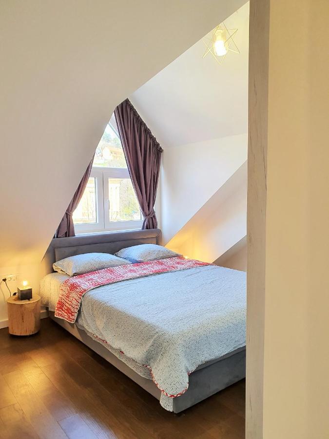 Downtown Apartment Cetinje Bagian luar foto