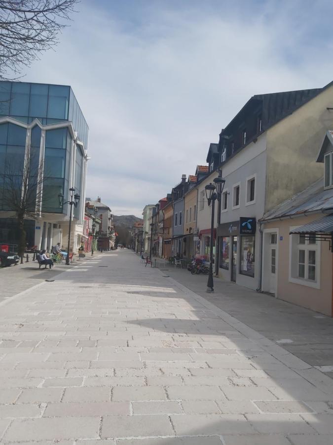 Downtown Apartment Cetinje Bagian luar foto