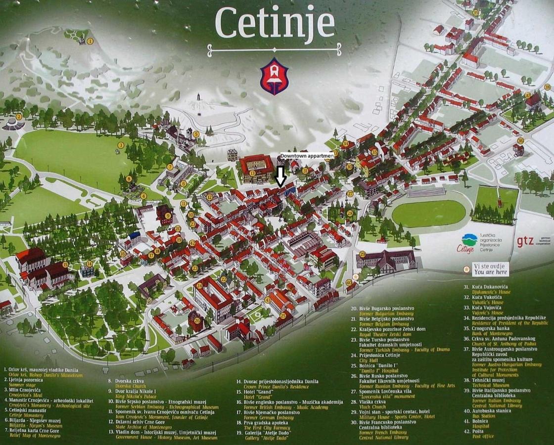 Downtown Apartment Cetinje Bagian luar foto